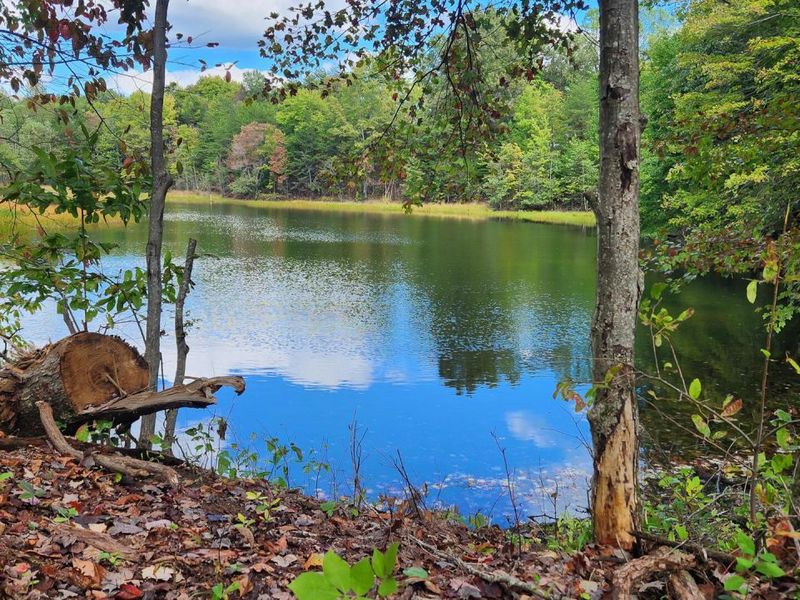 680 Nibert Road, Unit (Ponds Pop, Gallipolis, OH 45631 Photo 3