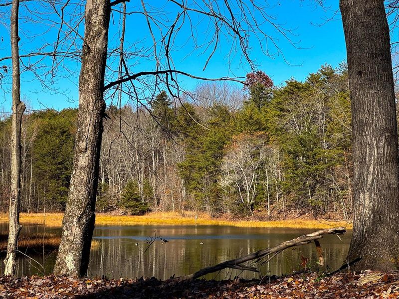 680 Nibert Road, Unit (Ponds Pop, Gallipolis, OH 45631 Photo 31