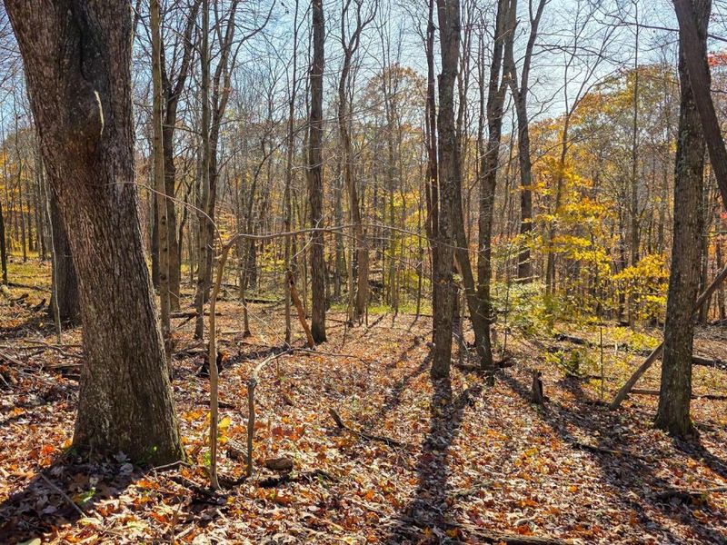 680 Nibert Road, Unit (Ponds Pop, Gallipolis, OH 45631 Photo 33