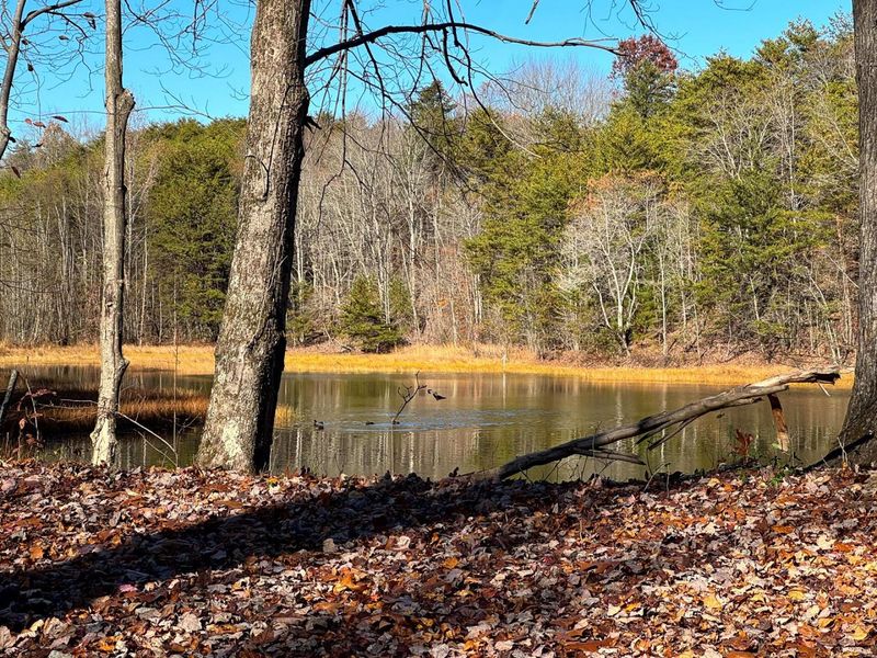 680 Nibert Road, Unit (Ponds Pop, Gallipolis, OH 45631 Photo 34