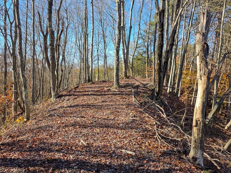 680 Nibert Road, Unit (Ponds Pop, Gallipolis, OH 45631 Photo 37