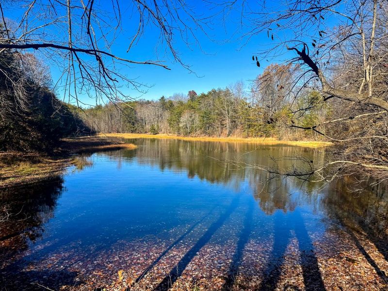 680 Nibert Road, Unit (Ponds Pop, Gallipolis, OH 45631 Photo 38