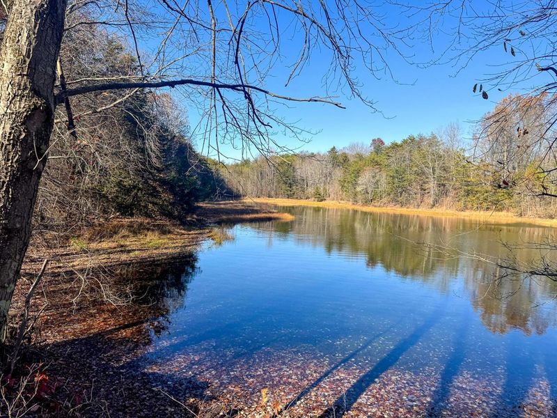 680 Nibert Road, Unit (Ponds Pop, Gallipolis, OH 45631 Photo 39