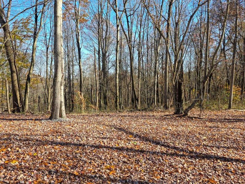 680 Nibert Road, Unit (Ponds Pop, Gallipolis, OH 45631 Photo 41