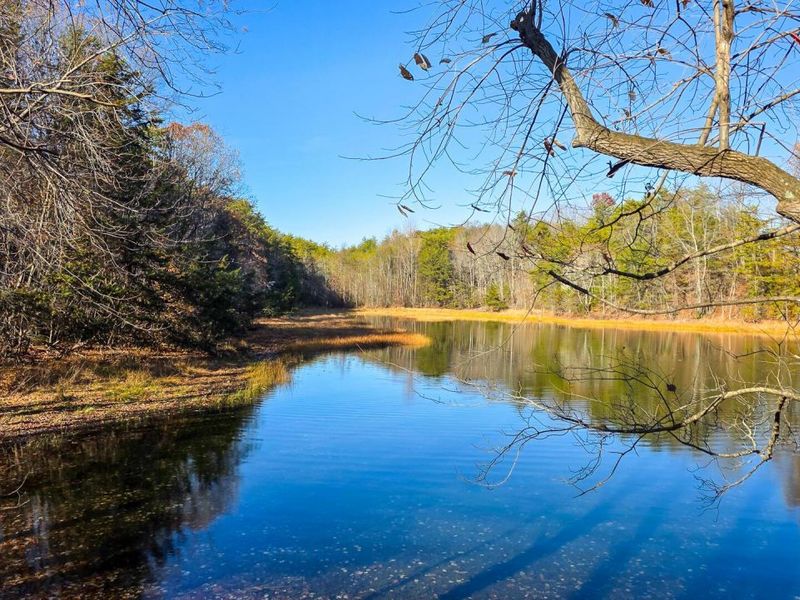 680 Nibert Road, Unit (Ponds Pop, Gallipolis, OH 45631 Photo 44