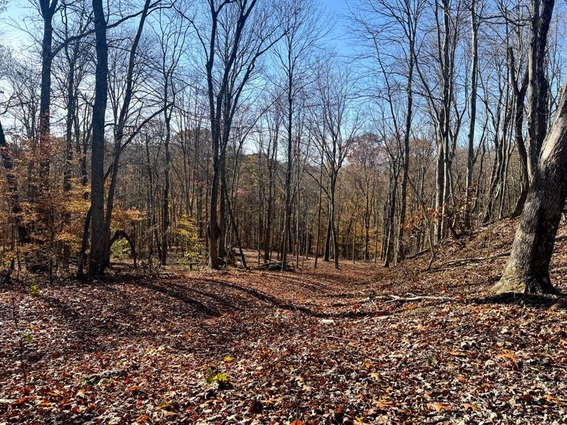 680 Nibert Road, Unit (Ponds Pop, Gallipolis, OH 45631 Photo 45