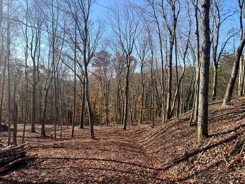 680 Nibert Road, Unit (Ponds Pop, Gallipolis, OH 45631 Photo 46