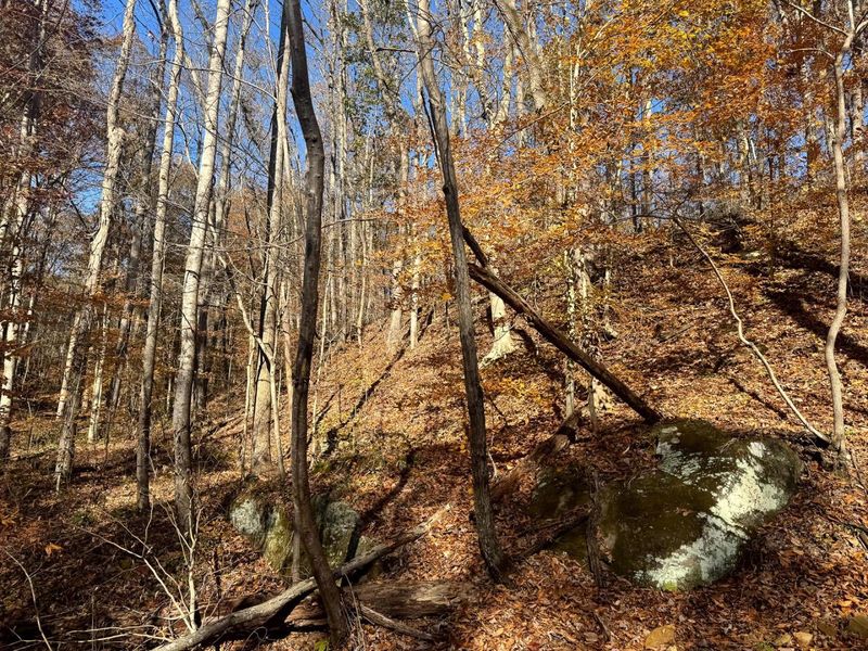 680 Nibert Road, Unit (Ponds Pop, Gallipolis, OH 45631 Photo 6