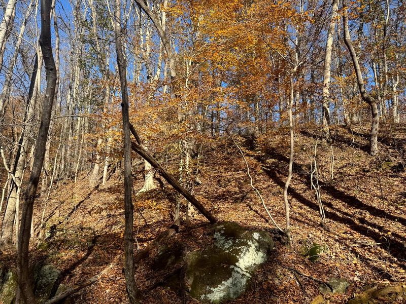 680 Nibert Road, Unit (Ponds Pop, Gallipolis, OH 45631 Photo 7