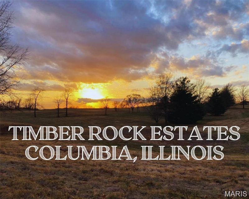 0 Timber Rock Lot 36, Columbia, IL 62236 Main Photo