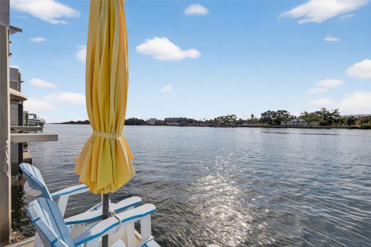 1009 Royal Pass Road, Tampa, FL 33602 Photo