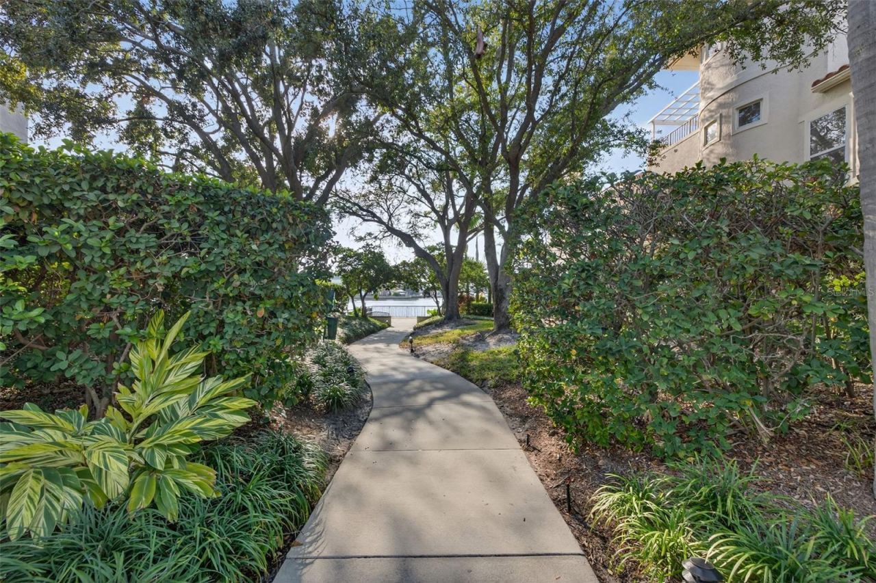 1009 Royal Pass Road, Tampa, FL 33602 Photo