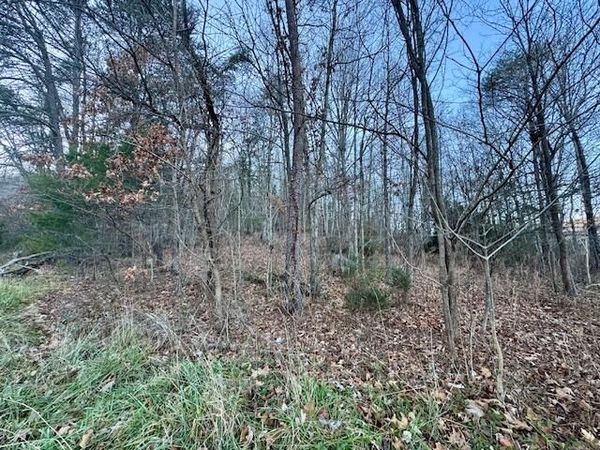 0 Cumberland Gap RD, New Castle, VA 24127