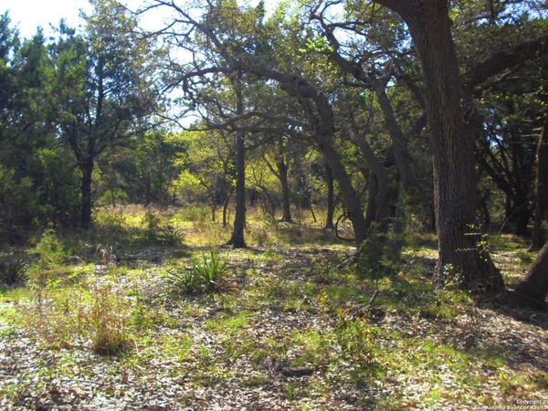 2024 FM 3424, Canyon Lake, TX 78133