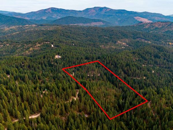 4450 Buck Creek Rd, Loon Lake, WA 99148