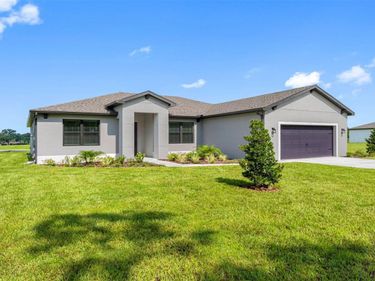 13494 LAKE GALLAGHER DRIVE, DOVER, FL 33527