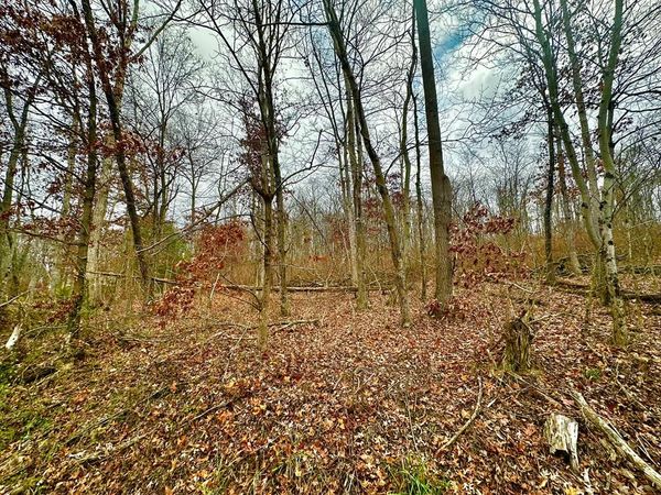 0 Prussia Road, Waverly, OH 45690