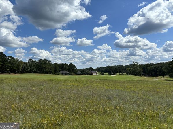 LOT 16 Camden Way, Hawkinsville, GA 31036