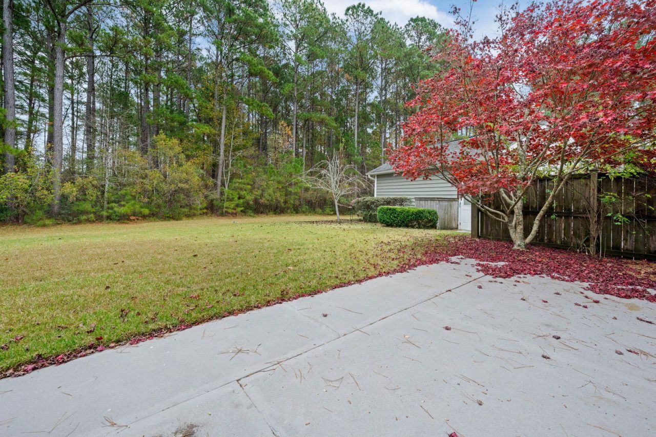 224 Cameron Street Photo 43