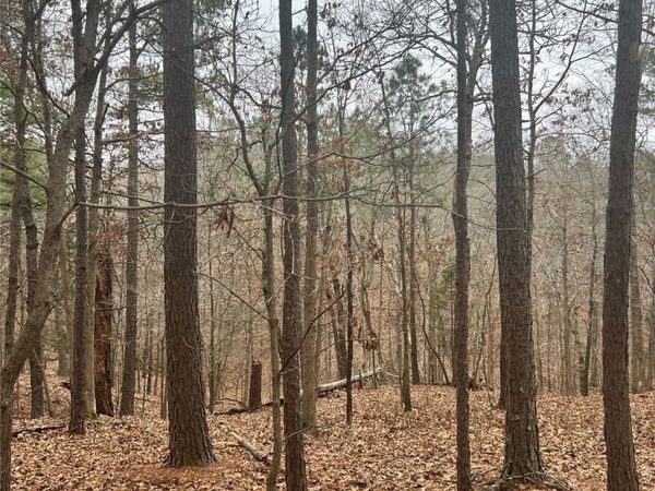 Deer Path Road , Kansas, OK 74347