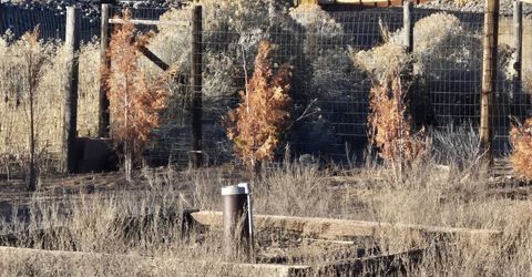 7215 Marlin Drive, Reno, NV 89506 Photo