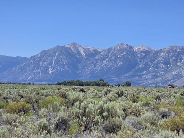 1205 Stephanie Way, Minden, NV 89423