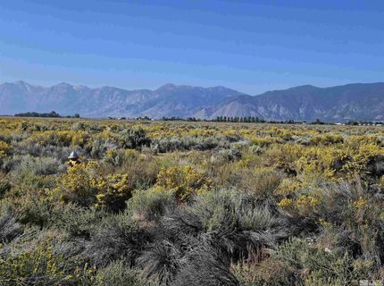 1205 Stephanie Way, Lot #57, Minden, NV 89423 Photo