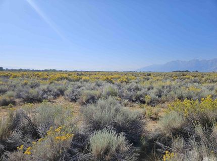 1205 Stephanie Way, Lot #57, Minden, NV 89423 Photo