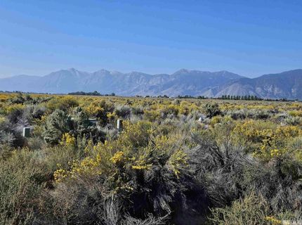 1205 Stephanie Way, Lot #57, Minden, NV 89423 Photo