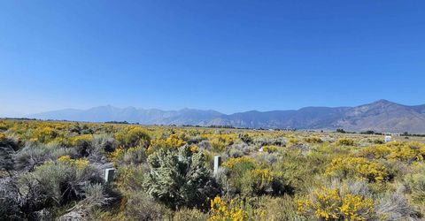 1205 Stephanie Way, Lot #57, Minden, NV 89423 Photo