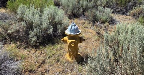 1205 Stephanie Way, Lot #57, Minden, NV 89423 Photo