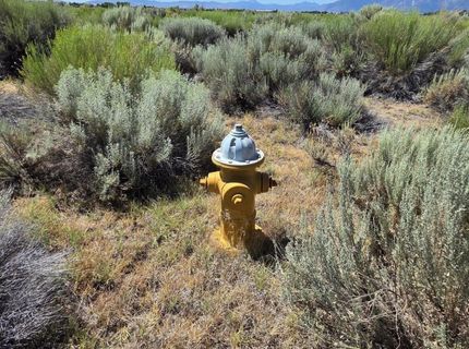 1205 Stephanie Way, Lot #57, Minden, NV 89423 Photo