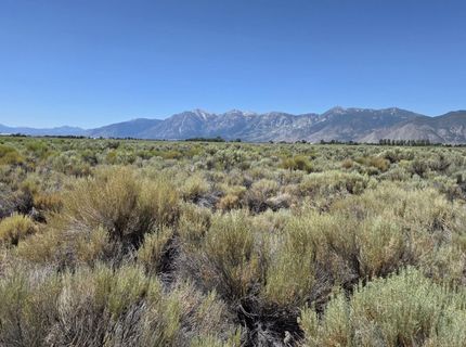 1205 Stephanie Way, Lot #57, Minden, NV 89423 Photo