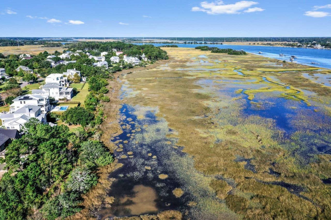 1508 Bower Lane Photo 47