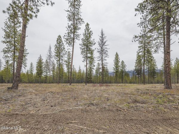 L5 B1 Wallace Lane, Blanchard, ID 83804