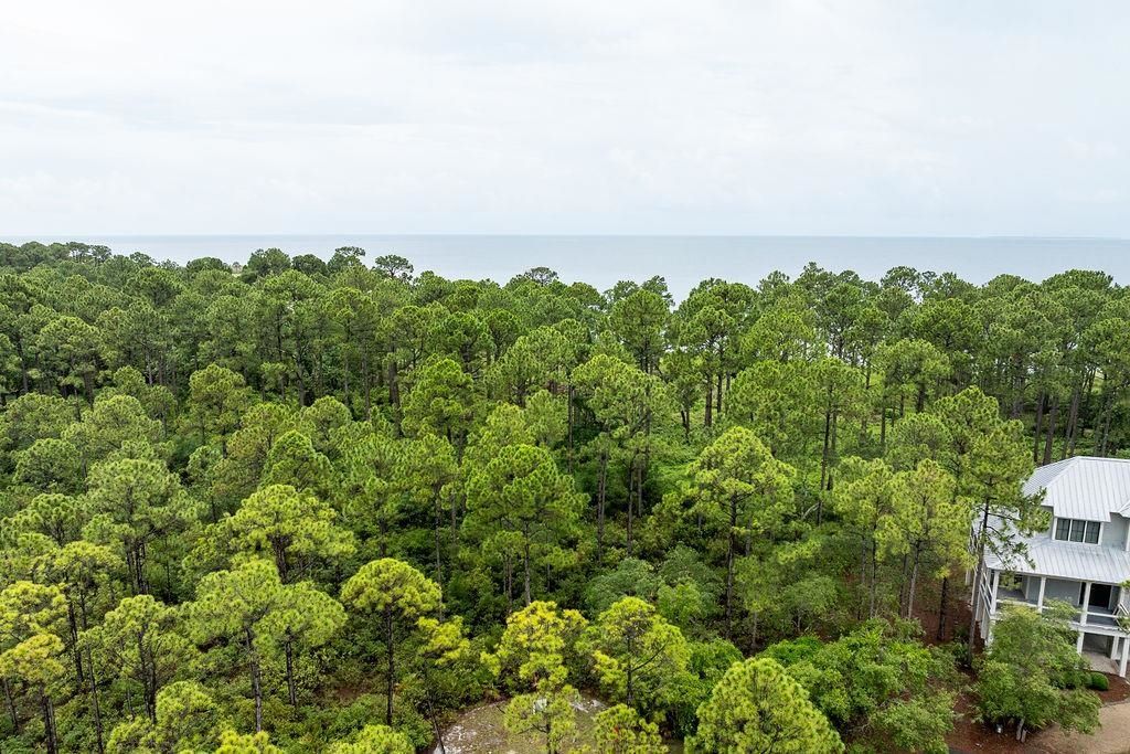 158 Oak Dune Lane, Saint Teresa, FL 32358 Photo