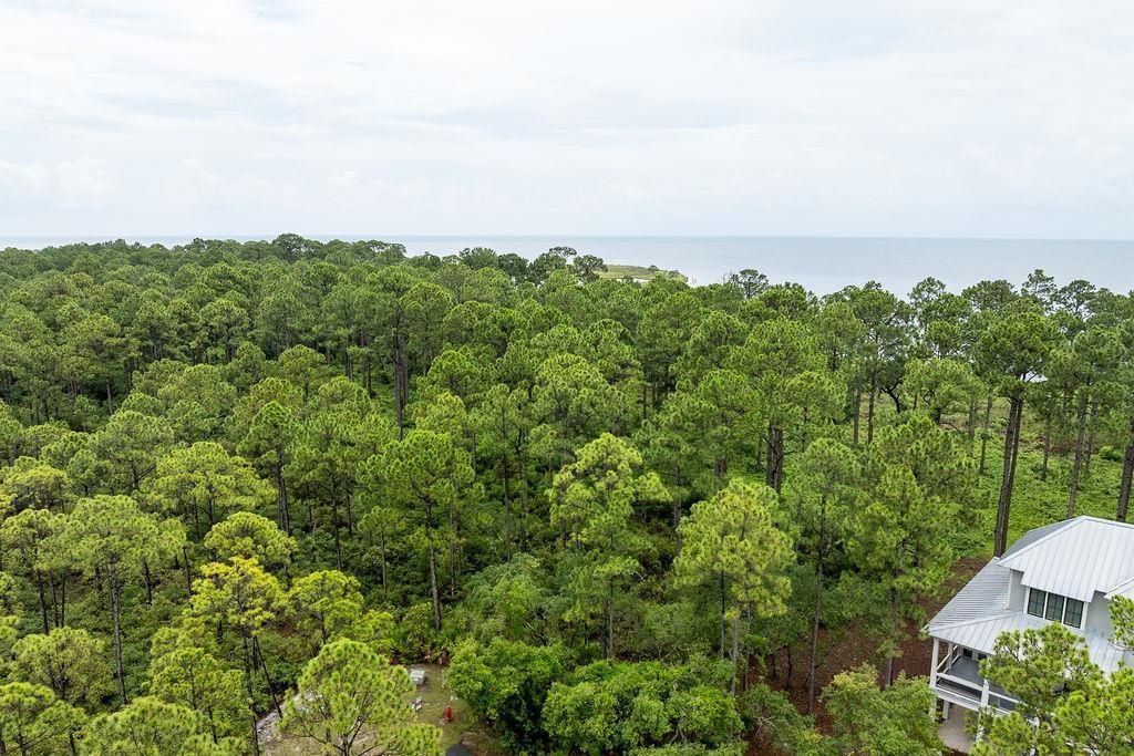 158 Oak Dune Lane, Saint Teresa, FL 32358 Photo