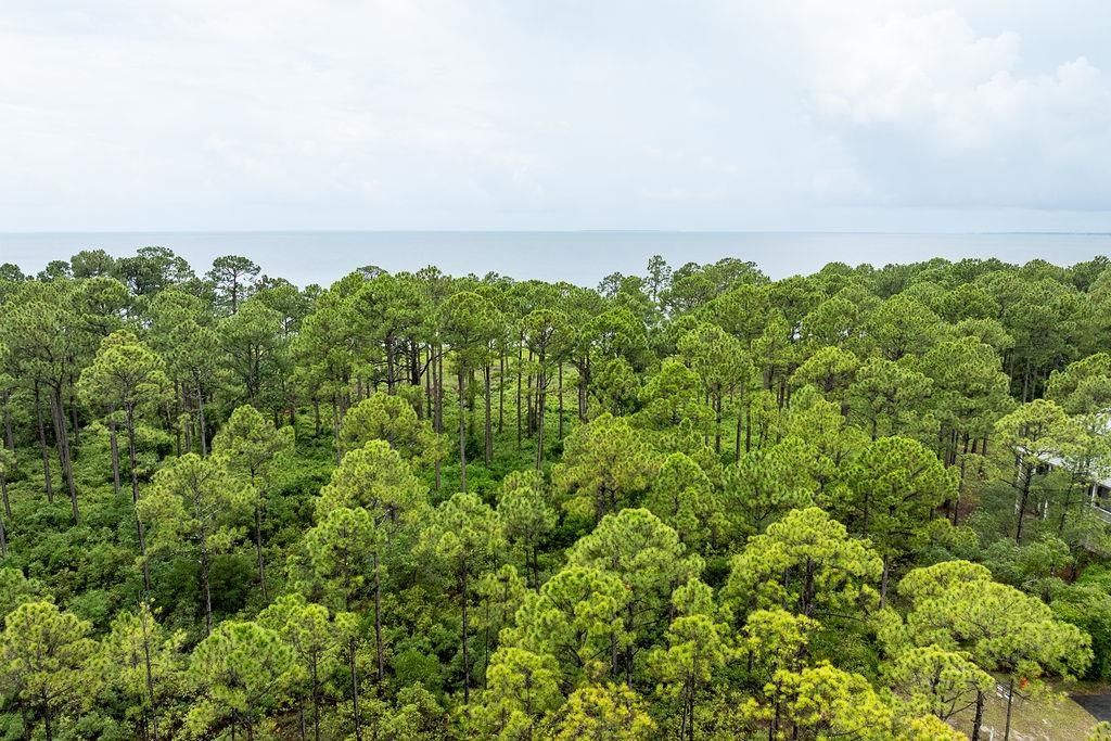 158 Oak Dune Lane, Saint Teresa, FL 32358 Photo