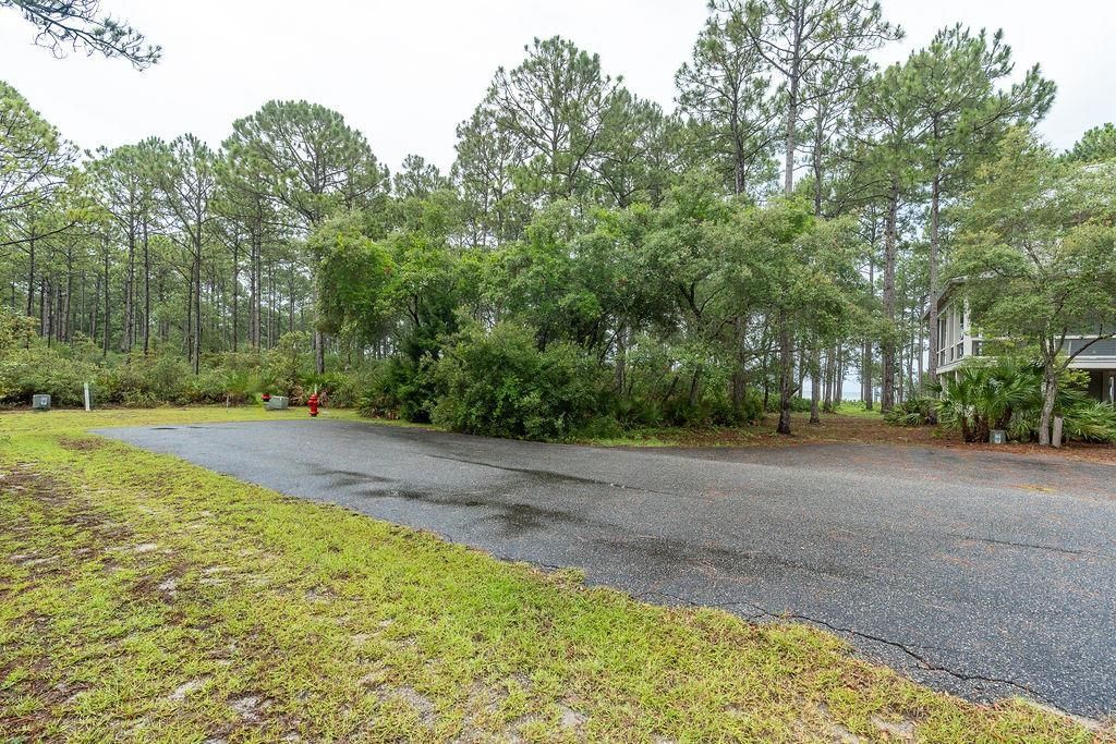 158 Oak Dune Lane, Saint Teresa, FL 32358 Photo