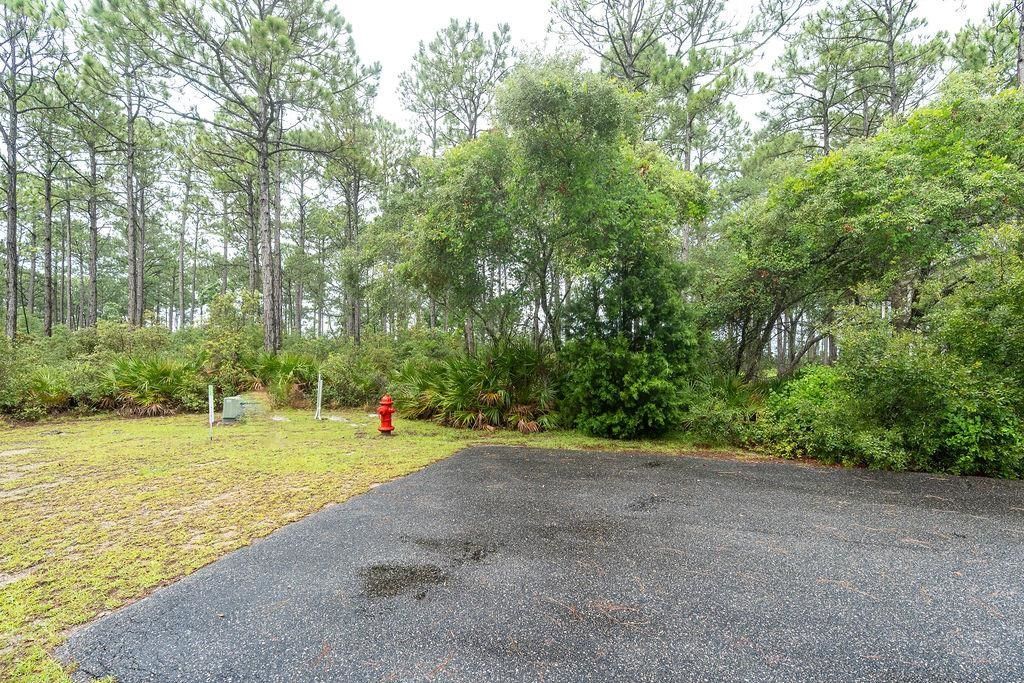 158 Oak Dune Lane, Saint Teresa, FL 32358 Photo