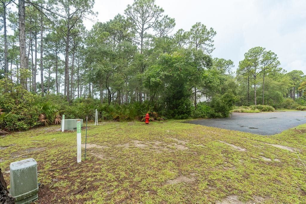 158 Oak Dune Lane, Saint Teresa, FL 32358 Photo