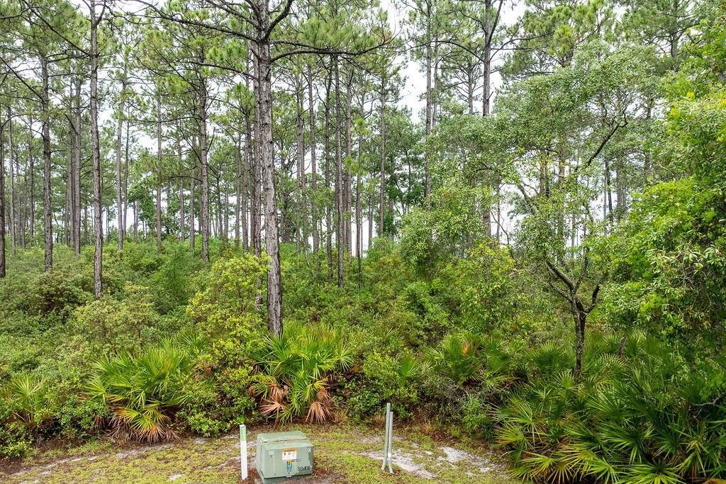 158 Oak Dune Lane, Saint Teresa, FL 32358 Photo