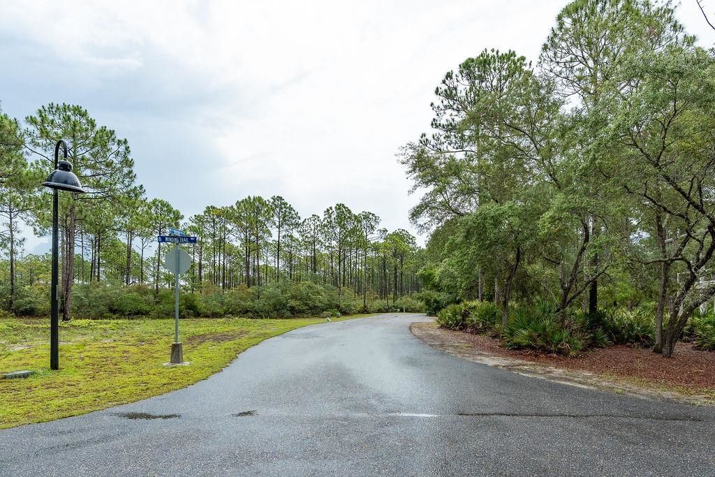 158 Oak Dune Lane, Saint Teresa, FL 32358 Photo