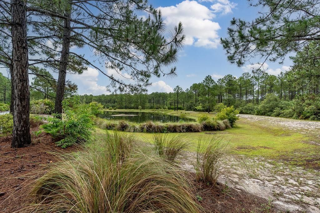 158 Oak Dune Lane, Saint Teresa, FL 32358 Photo