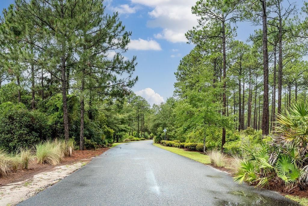 158 Oak Dune Lane, Saint Teresa, FL 32358 Photo