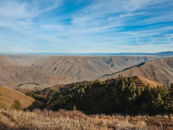 TBD Boles Road, CottonWood, ID 83522