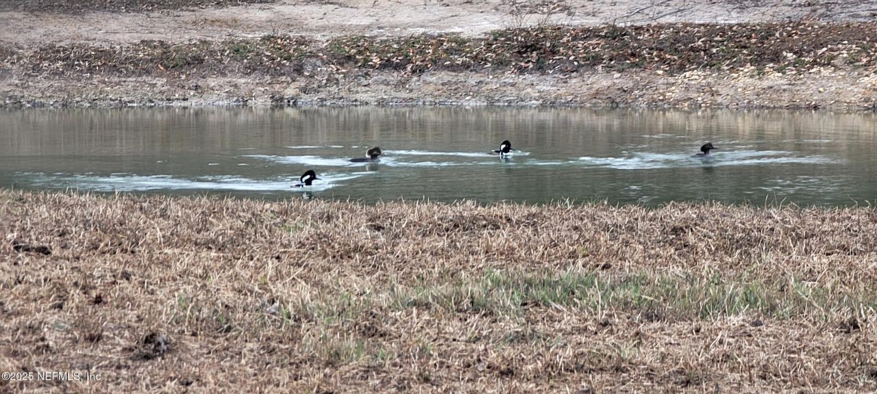 8219 Mud Lake Road, Macclenny, FL 32063 Photo