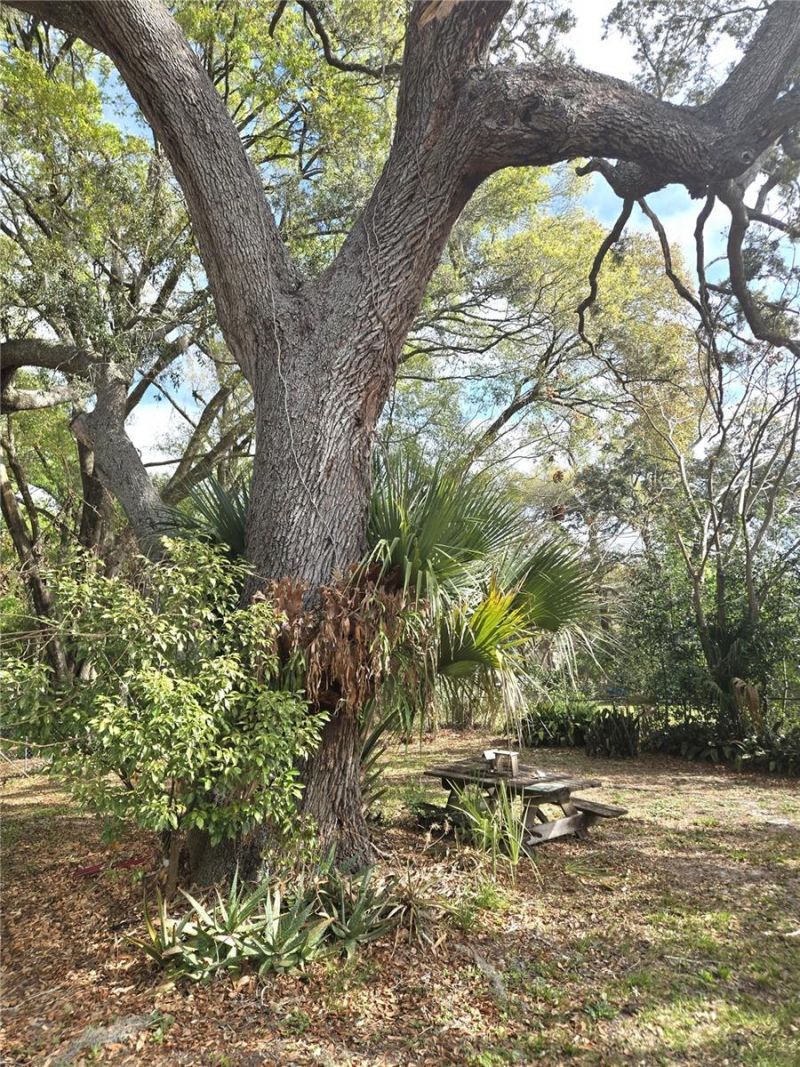 2455 Royal Road, Deland, FL 32724 Photo