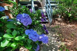 257 Brookspring Road photo 4