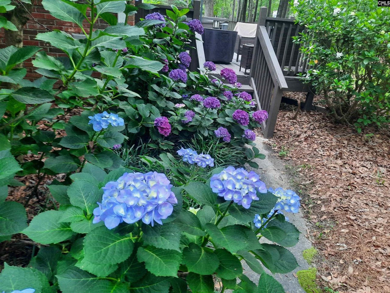 257 Brookspring Road Photo 8